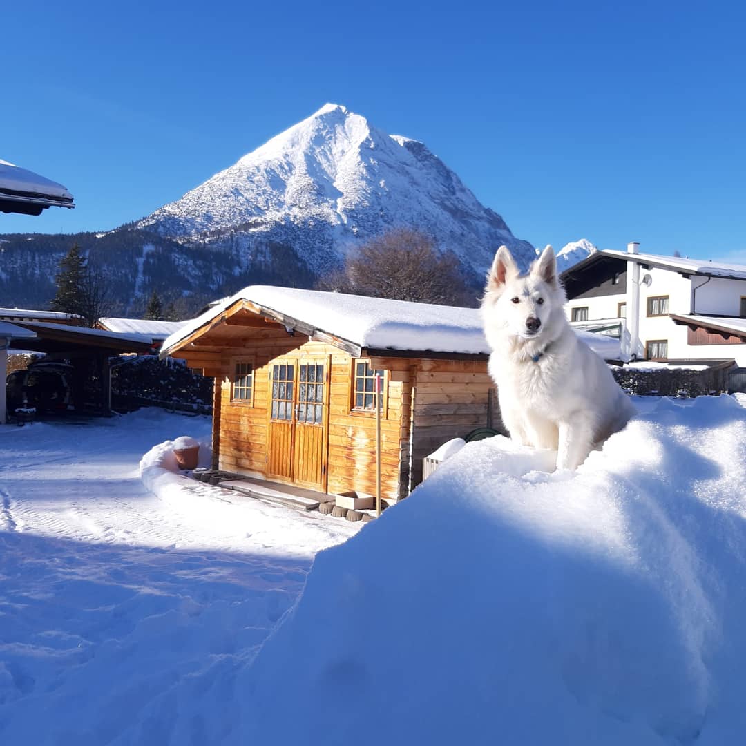 Appartementenhuis Ostbacher Stern in Tirol Oostenrijk (Combi type C en Slaapkamer E) 2-6 pers. met 2 slaapkamers en badkamers