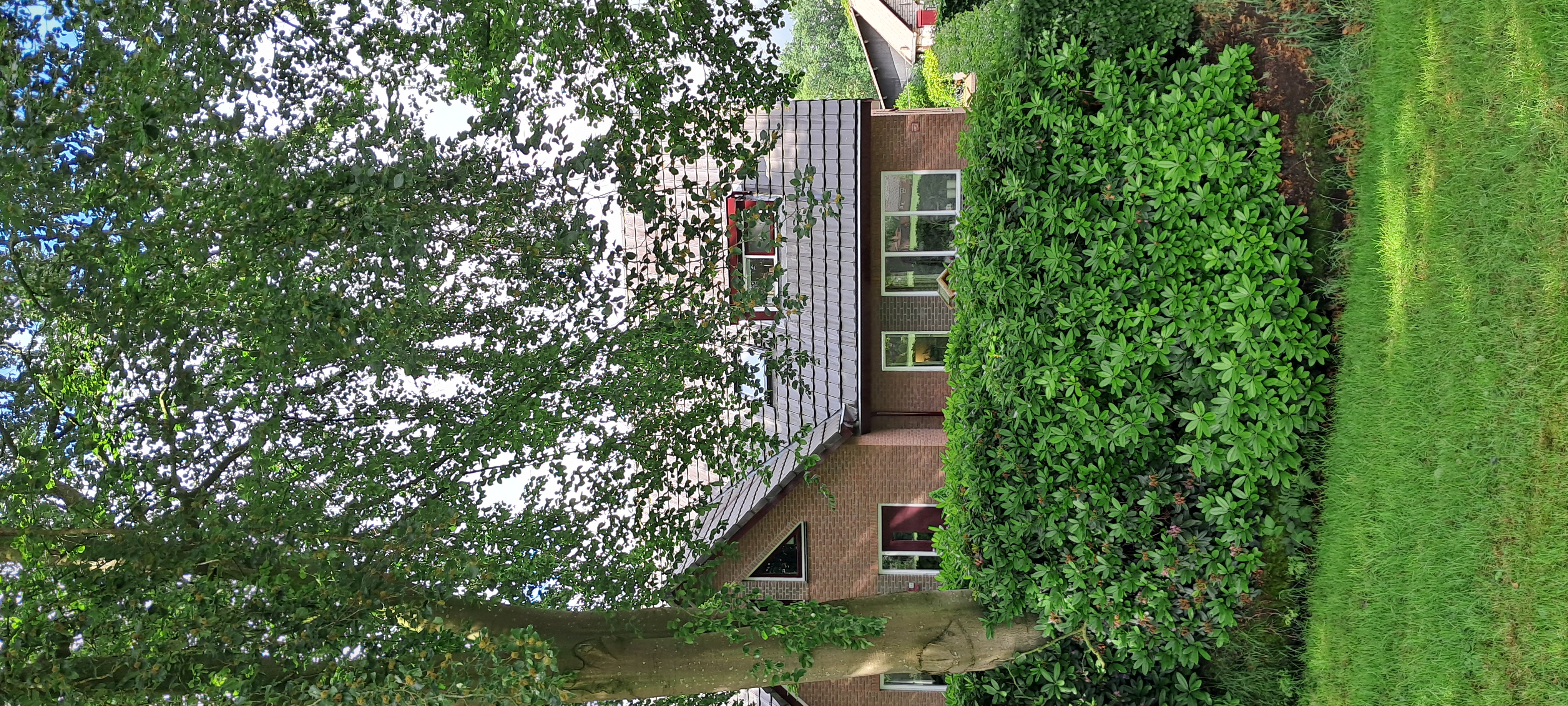 house_image3