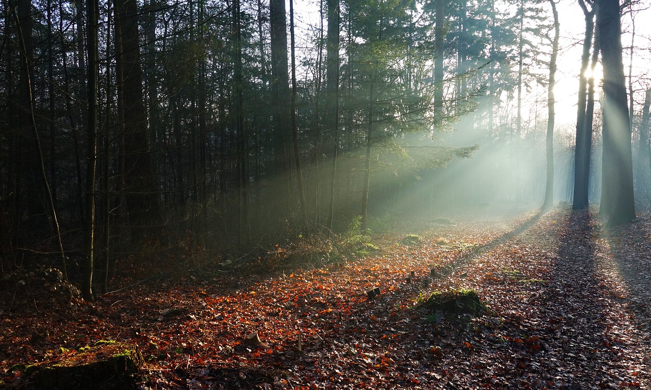 Herfstvakantie op en rond de Veluwe: Een sfeervolle tijd voor jong en oud.