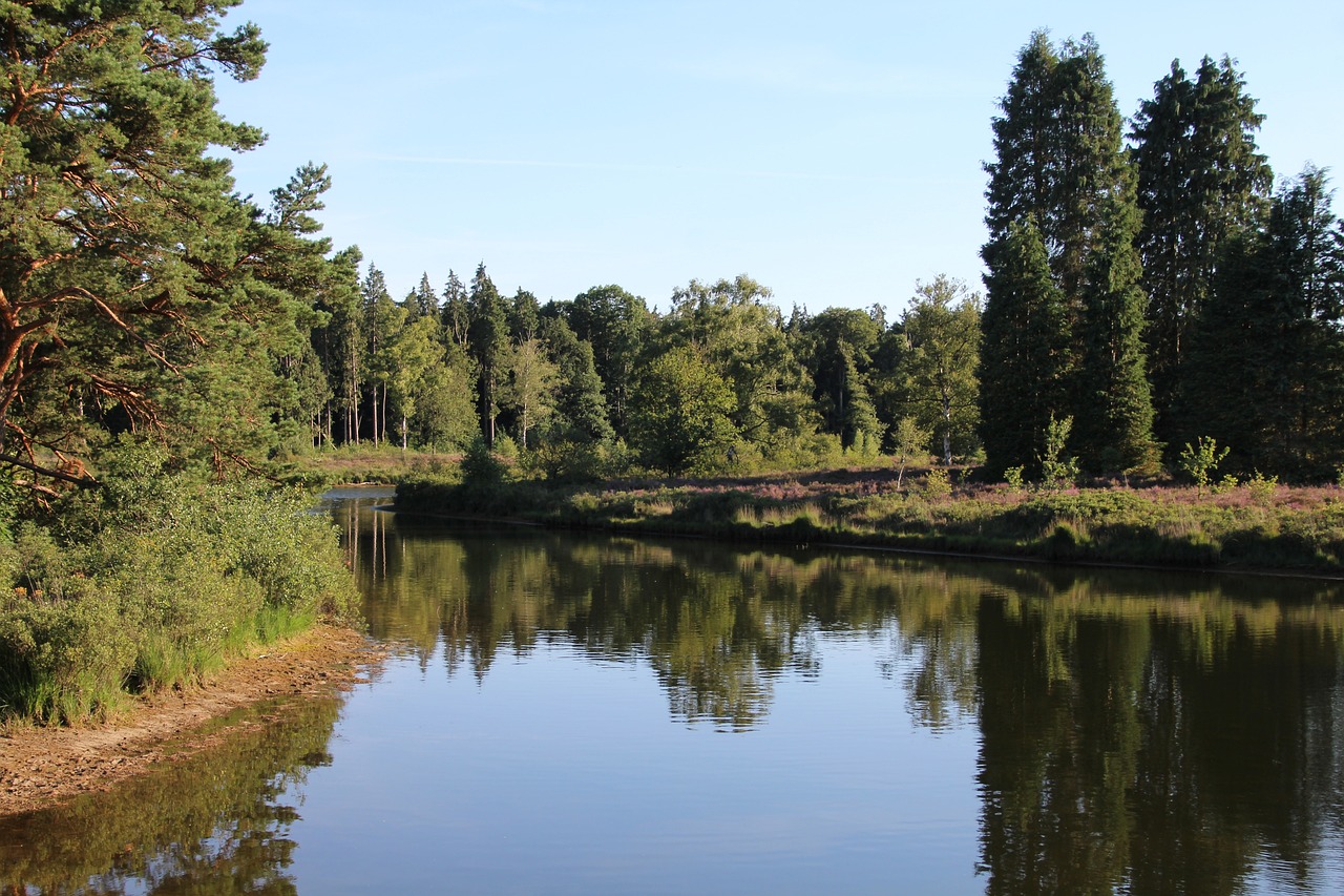 Op vakantie komende herfstvakantie naar de Kleine Belties Hardenberg?