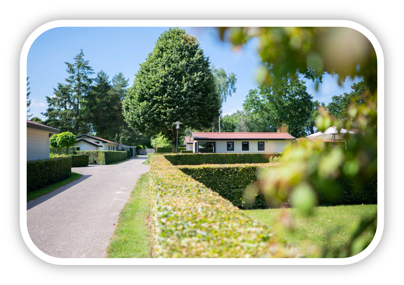 Nieuw aanbod recreatiewoning Wilg 4 personen in Voorthuizen