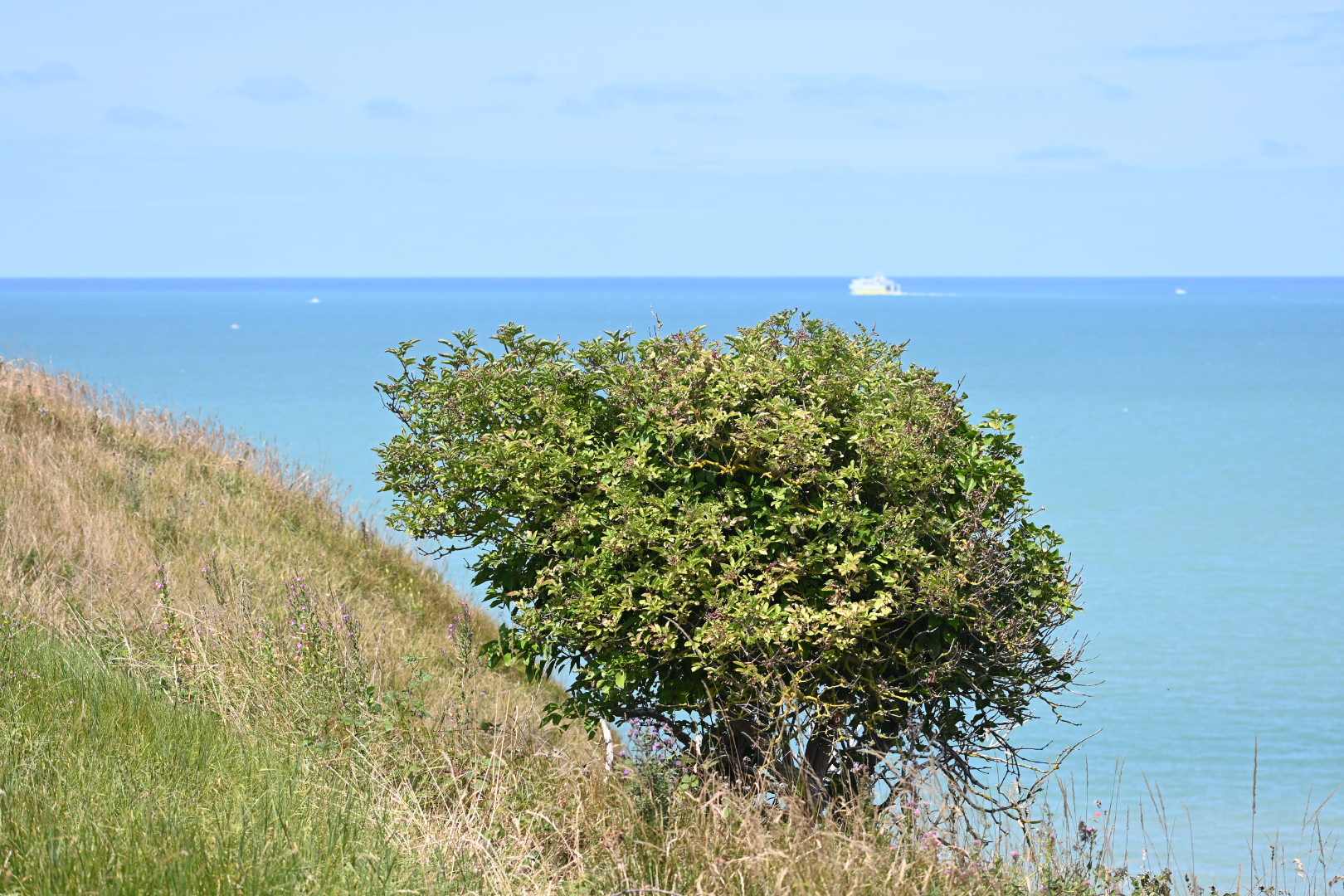 Vakantie in Normandië: van D-Day en Omaha Beach tot Rouen en de Franse kust